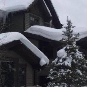 Meet your Posher, Haven